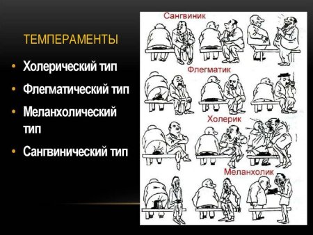 Типы личности меланхолик сангвиник