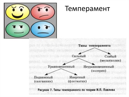 Типы личности холерик сангвиник флегматик меланхолик