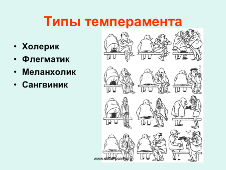 Дети холерического темперамента