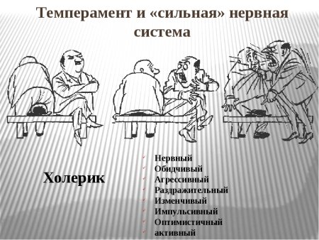 Сангвиник меланхолик холерик флегматик типы темпераментов