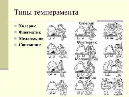 Виды темперамента