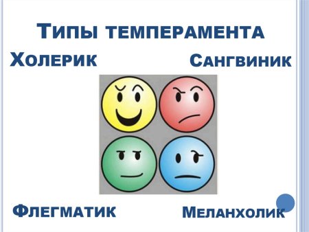 Типы темперамента у детей