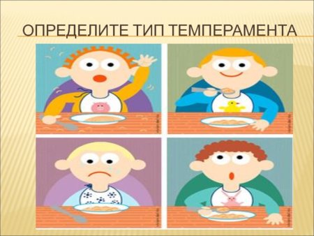 Как понять темперамент человека