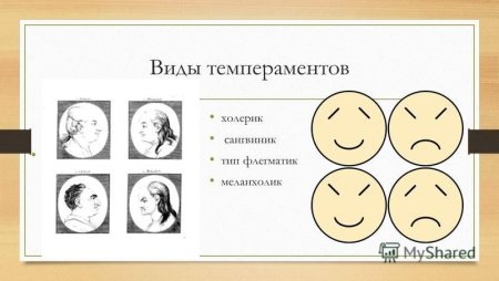 Иллюстрации к теме темперамент