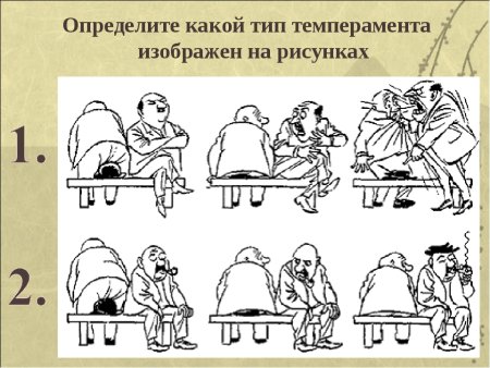 Темперамент холерик сангвиник флегматик меланхолик