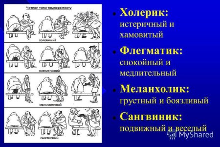 Типы личности фоегматик Сангвин
