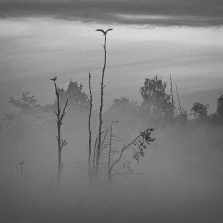 Нарисовать туман