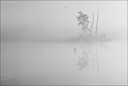 Туман карандашом