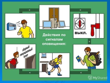 Порядок действий по сигналам оповещения