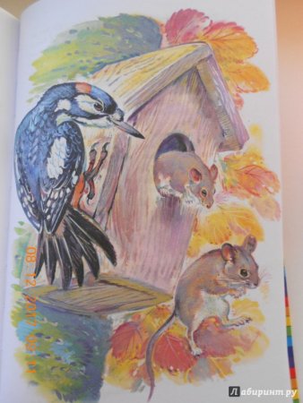 «Лесные сказки», Сладков н. и.
