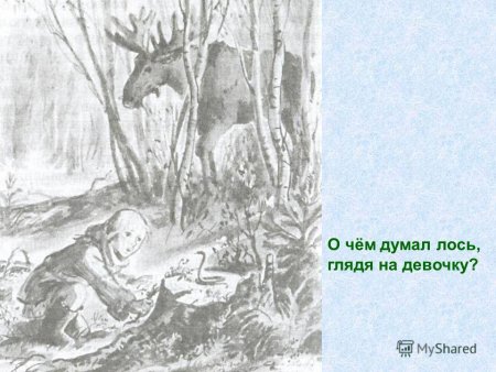 Иллюстрация к рассказу Пришвина кладовая солнца