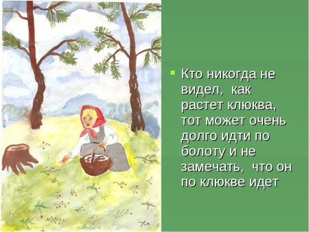 Иллюстрация к рассказу Пришвина кладовая солнца