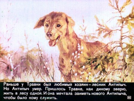 М М пришвин выскочка