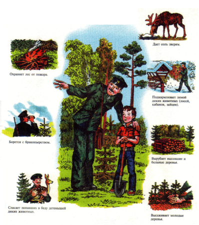 Лесник для дошкольников