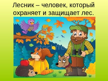 Иллюстрация грибник в лесу