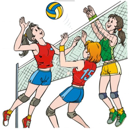 Сетка волейбольный мяч скетч
