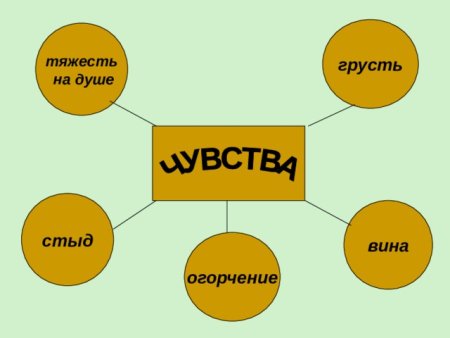 Презентация на тему стыд вина и извинение