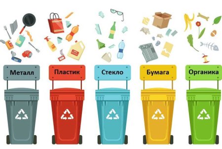 Сортировка мусора контейнеры для детей