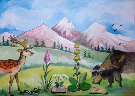 Адыгея рисунок