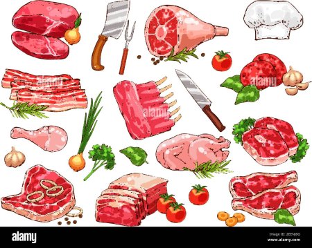 Мясные блюда вектор