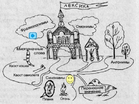 Лексика и фразеологизмы