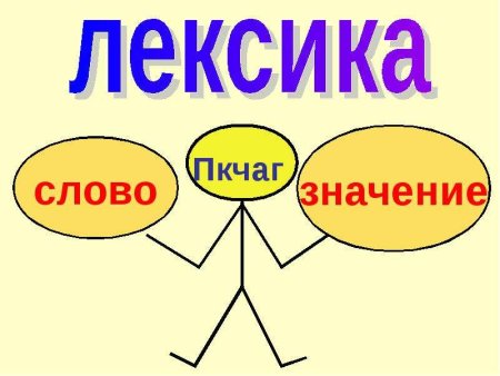 Лексика рисунок