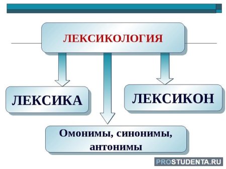 Что такое лексикология в русском языке