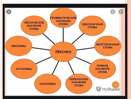Тема лексика и фразеология