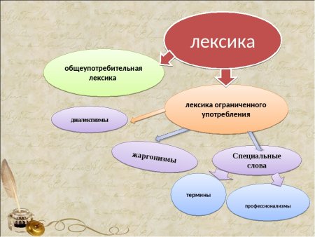 Лексика картинки