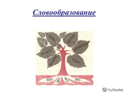Словообразование проект