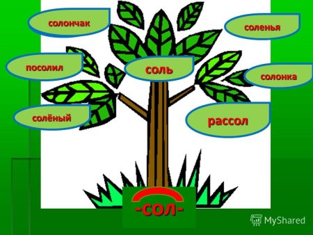 Проект семья слов
