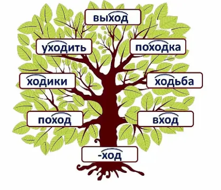 Дерела с однокаринами словами