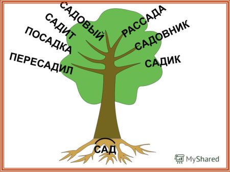 Презентация на тему Морфемика