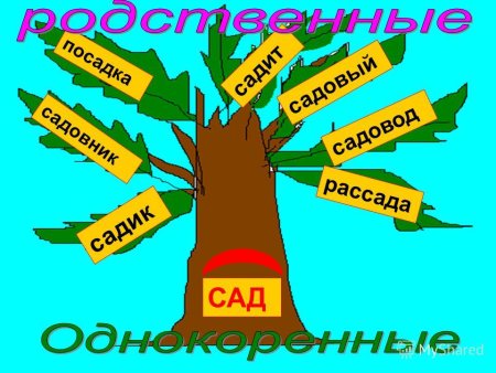 Проект семья слов 3 класс русский язык