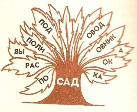Дерево родсьвсвенный слов