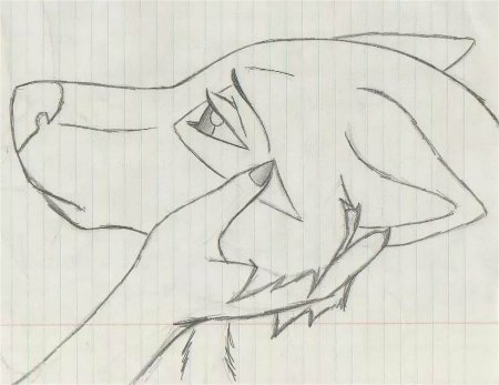 Рисунки карандашом лёгкие