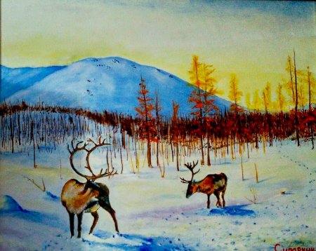 Таймыр картина