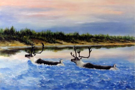 Рисунки природа Таймыра