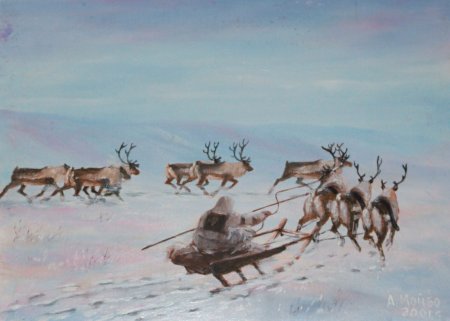 Таймыр картина