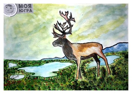 Тундра рисунок