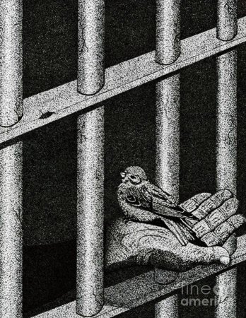 Рисунки на тюремную тему