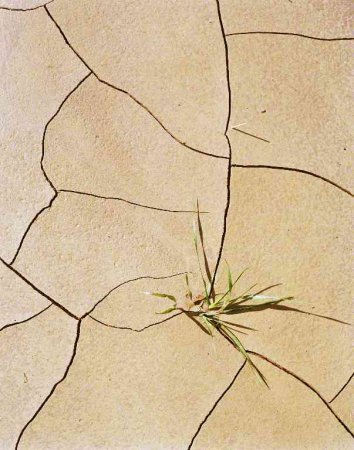 Оптимистичные картинки