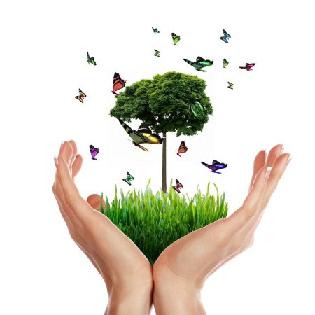 Жизненный опыт человека