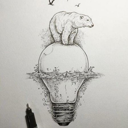 Альфред баша (Alfred Basha) рисунки птиц