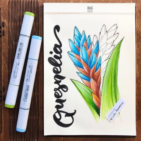 Рисунки для скетчбука лёгкие цветные
