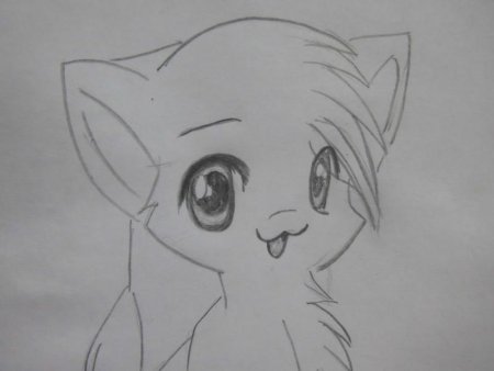 Аниме срисовка карандашом для начинающих