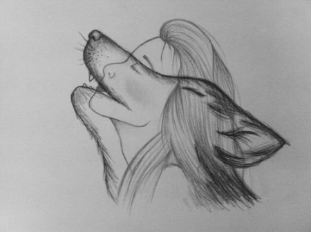 Небольшие рисунки для срисовки