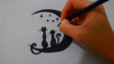 Рисунки в тетрадке в линейку