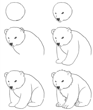 Рисунок медведя карандашом легко