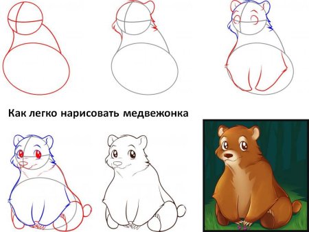 Как нарисовать медведя